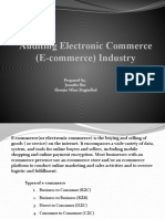 Auditing E Commerce Industry