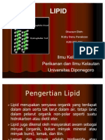 Lipid