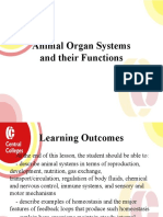 Animal Organ System and Their Functions