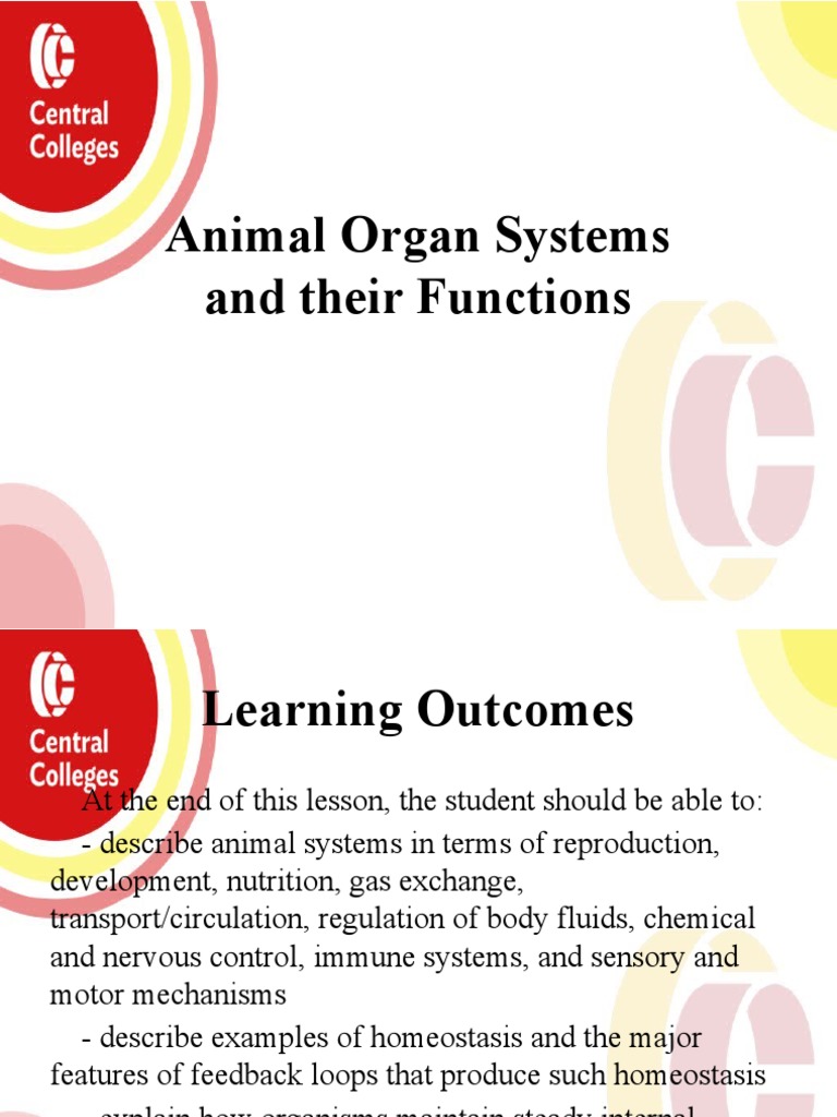 Animal Organ System and Their Functions Download Free PDF Sexual