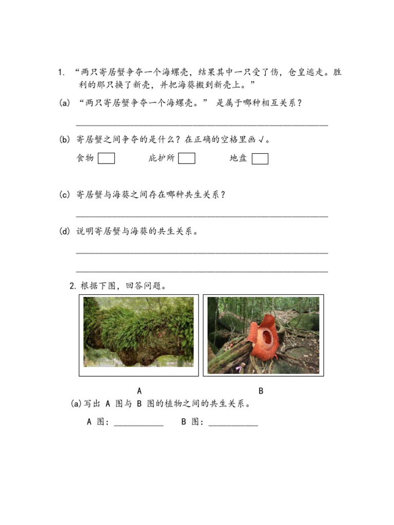 第 4 课 问答题 | PDF