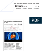 Foie - Définition, Schéma, Anatomie Et Rôle