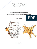 Анатомія і Еволюція ЦНС