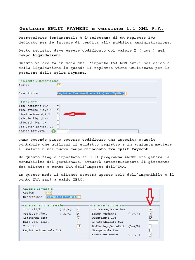 Gestione Split Payment - 0 | PDF
