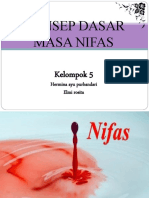 Konsep Dasar Nifas Kel 5