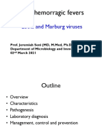 9.ebola & Marbug Viruses - Viral H'gic Fevers