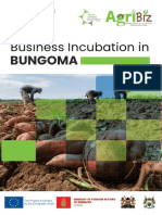 Apply AgriBiz Kenya Business Incubation Program Bungoma