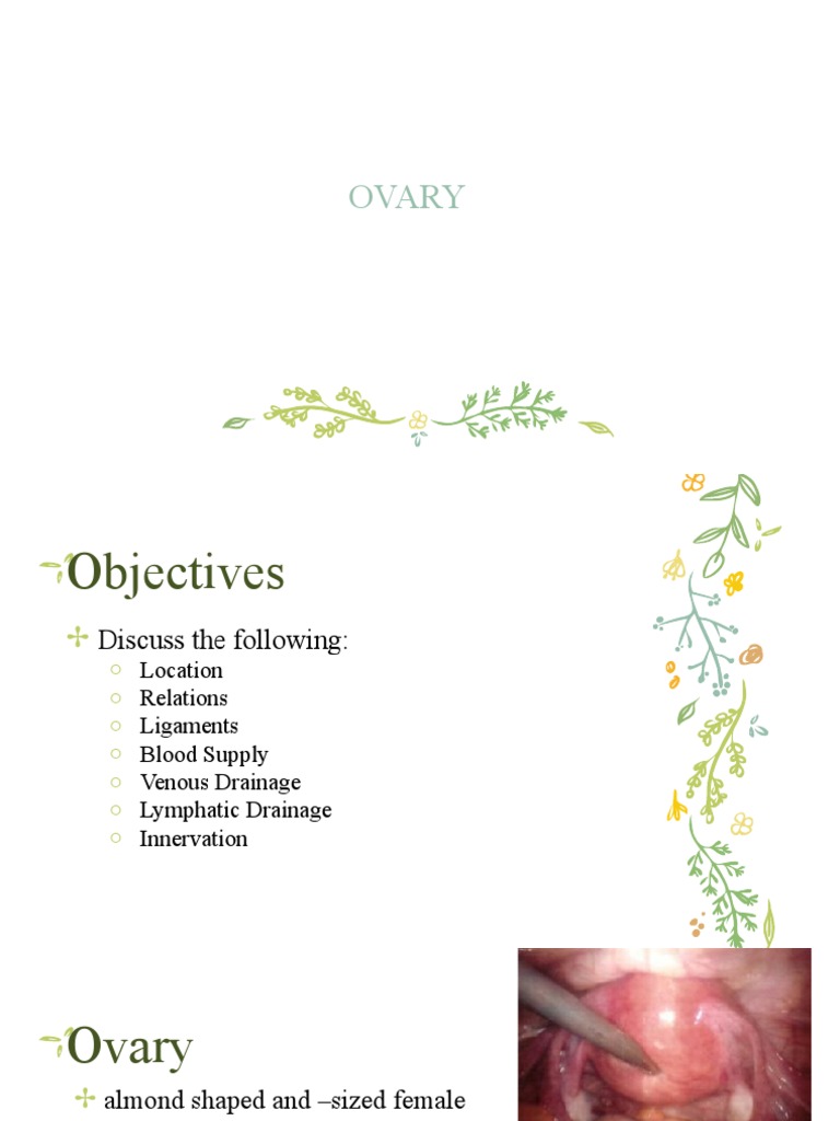 Fallopian Tubes | PDF | Ovary | Uterus