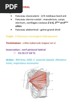 Anatomie et Fonction de la 1ère Commissure | PDF | Main | Appareil ...