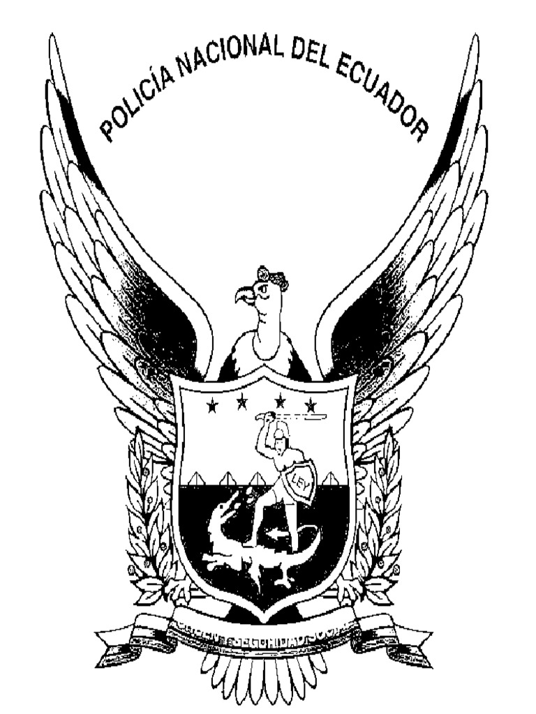 552562511 Pdf