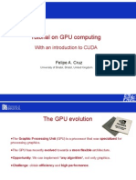 Cruz_gpuComputing09