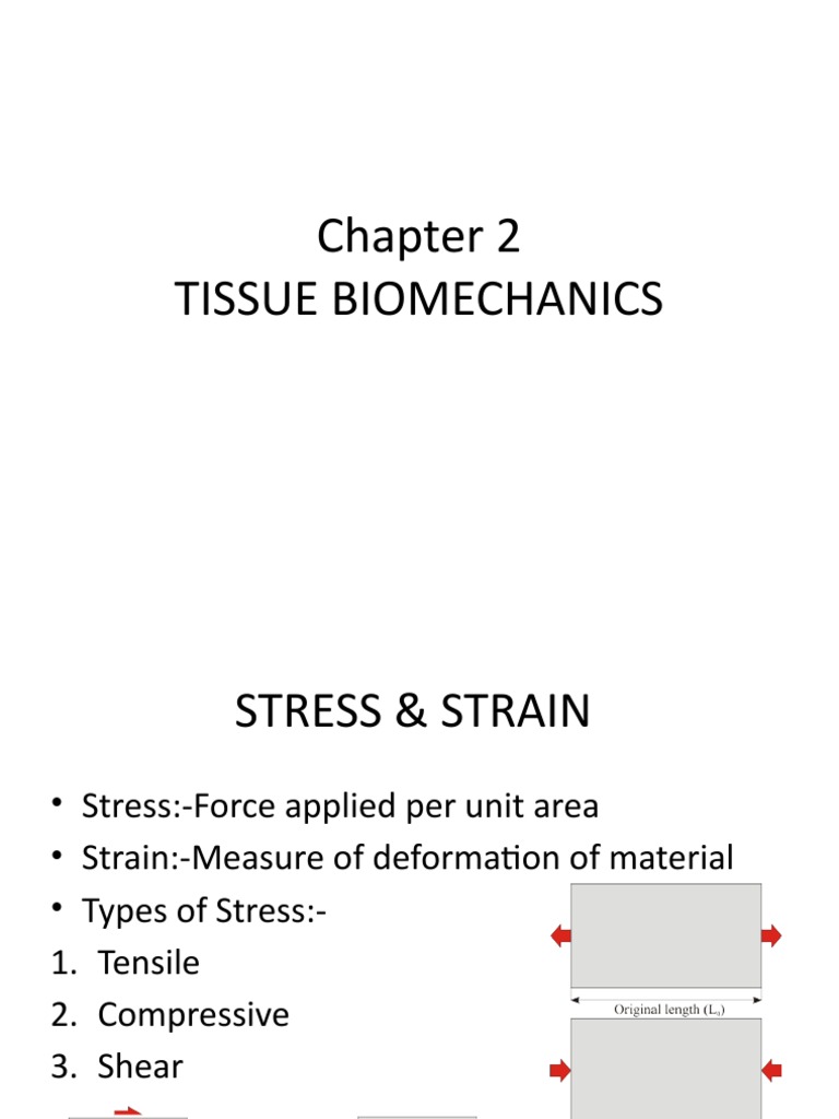 Tissue Biomechanics | PDF | Deformation (Engineering) | Strength Of ...