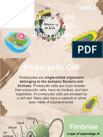 Prokaryotic, Eukaryotic Cells and History of Life