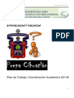 Plan de Trabajo_Coordinación Académica 2011Bf
