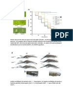 Anexos Biocontrol