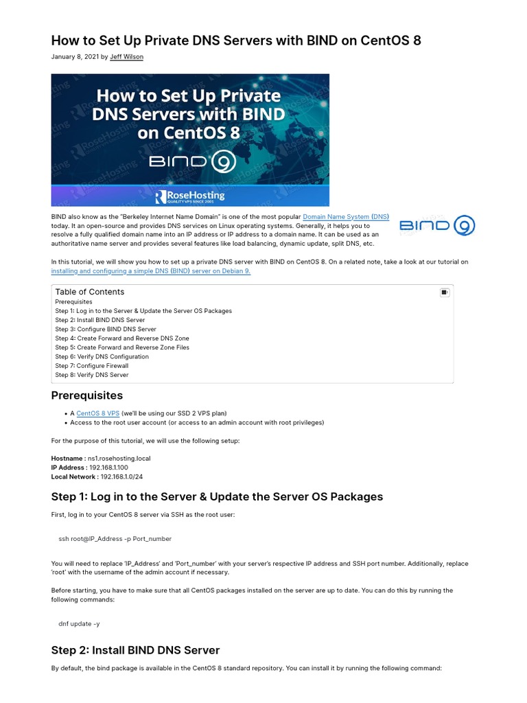 How To Set Up Private DNS Servers With BIND On CentOS 8 | PDF | Domain ...
