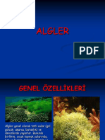 Algler