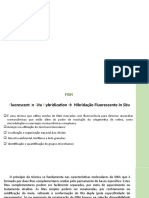 FISH - Hibridação Fluorescente In Situ para detecção de anomalias cromossômicas