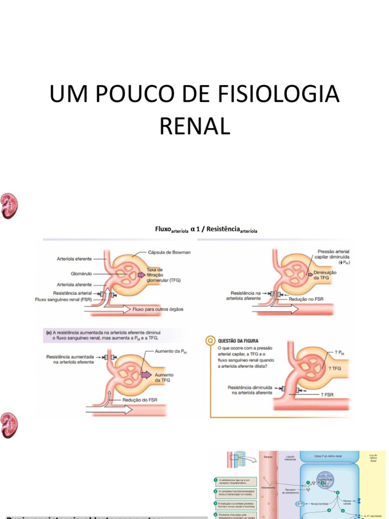 IRA X IRC | PDF | Doença renal crônica | Creatinina