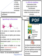 SCIENCES - Cerveau - Neurones-Et-Apprentissage