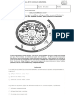 Guía N°7 Ciencias Naturales