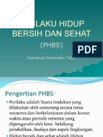 Materi Dokcil PHBS