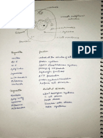 Functions of Cell Organelles