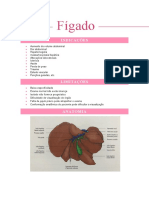 Fígado e vias biliares (Recuperação Automática)