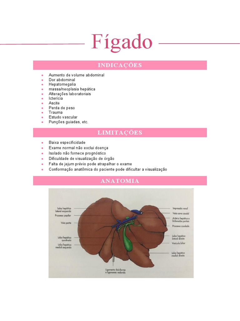 Anatomia e Ultrassonografia do Fígado Canino | PDF | Fígado | Bile