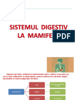 Sistemul Digestiv La Mamifere 2