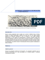 Conflictividad y Desarrollo Colonización e Independencia