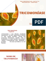 Trabalho de Biologia - Tricomonas Vaginalis