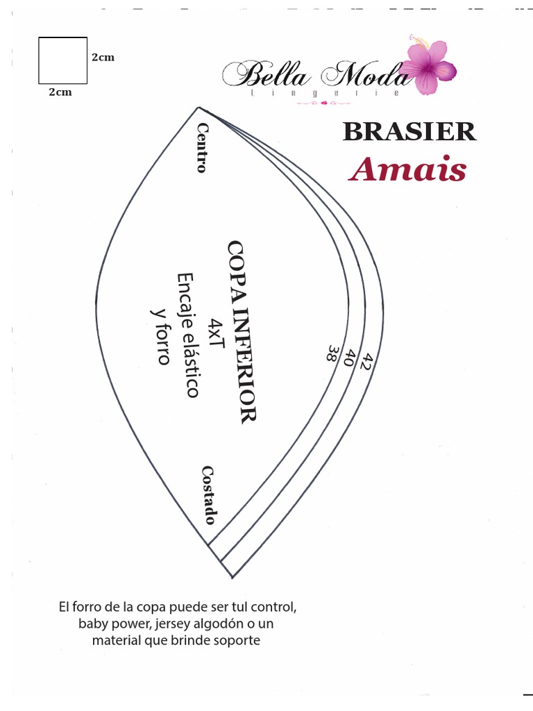 Brasier Amais PDF