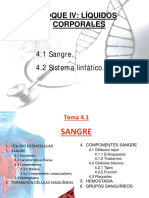 Circulación Sanguínea