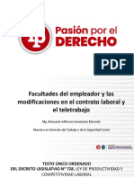 S4 Facultades Del Empleador LP