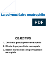 Polynucléaire Neutrophile 2011