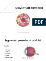 Examenul Segmentului Posterior_dr.branisteanu