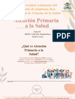 Atención Primaria A La Salud