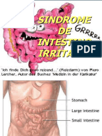 Colon Irritable Modificado