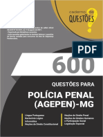 NV lv027 21 600 Questoes PP MG Amostra