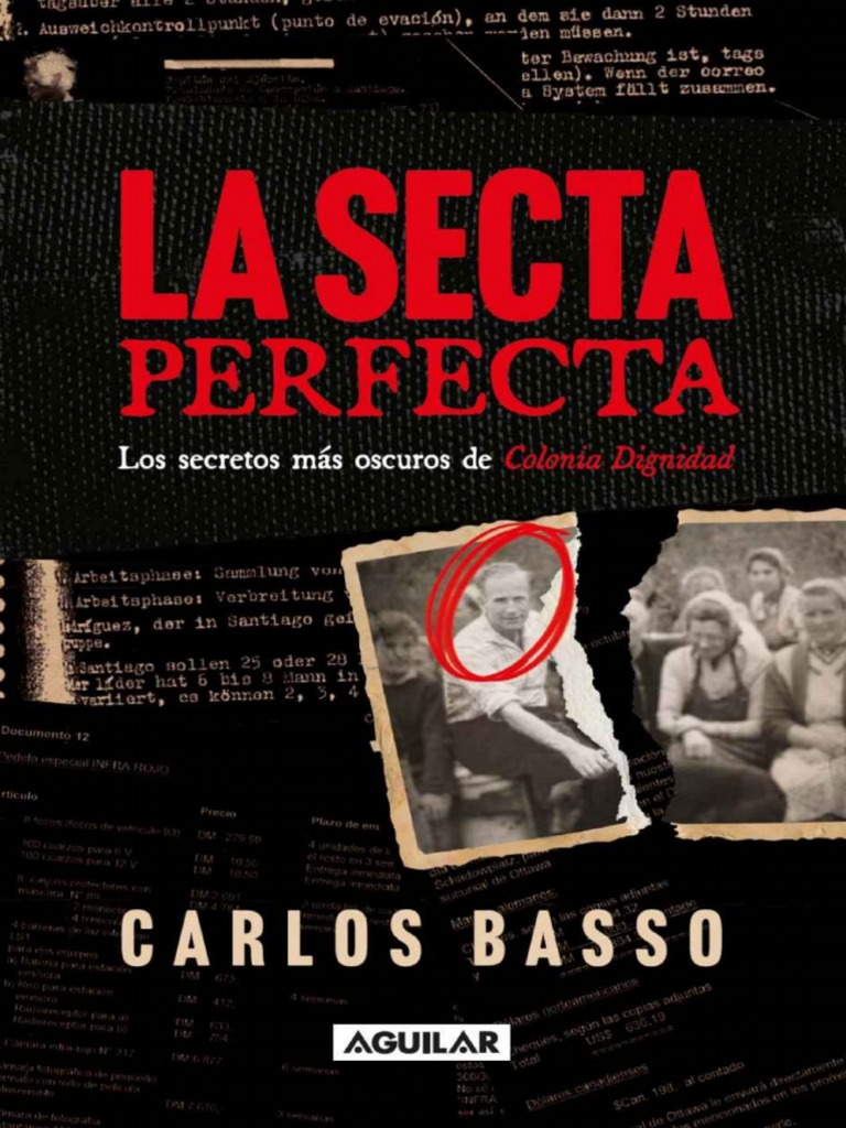 The Perfect Sect (Spanish Edit image