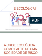 A Crise Ecológica Como Parte de Uma Sociedade