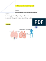 Structure of Thymus