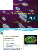 Células Procariotas y Eucariotas t5