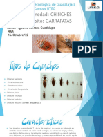 Parasitologia PresentacionMGRF