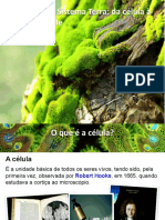 Célula Unidade Básica Da Biodiversidade - 1