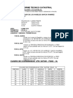 Informe Tecnico Catastral Sr. Hever de Los Angeles Garcia Ramirez