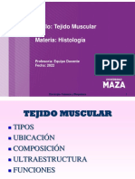 Tejido Muscular