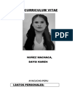 CV Karen Nuñez Machaca