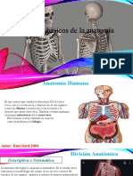 Principios Básicos de La Anatomía